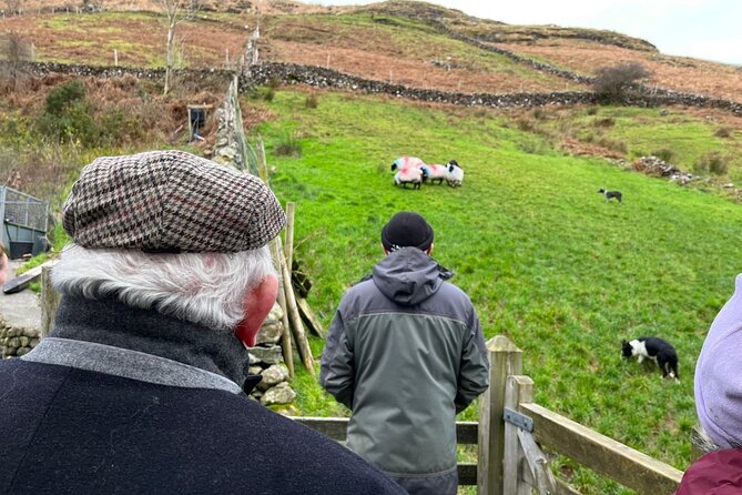 Small Group Aughnanure Castle, Sheepdog Demo & Connemara Tour - Cancellation Policy