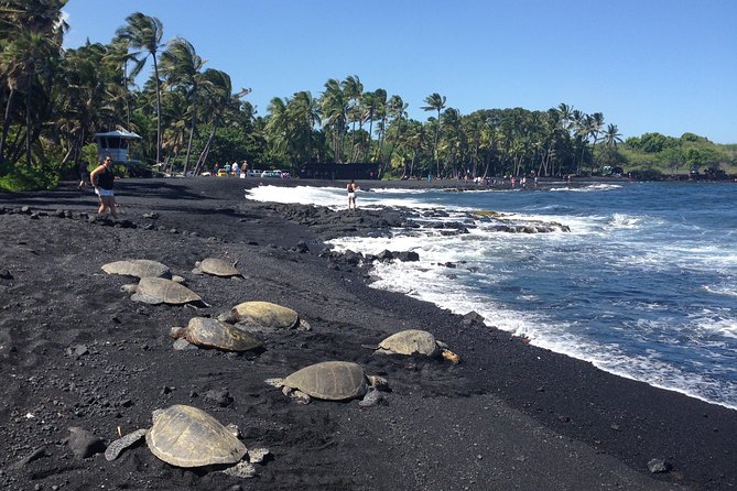 Small-Group Big Island Tour: Hawaii Volcanoes National Park and Kona Coffee Farm - Customer Reviews