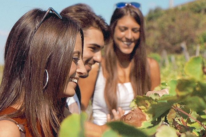 Small-Group Cinque Terre Discovery With Seafood Lunch - Additional Information