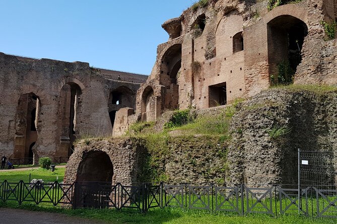 Small Group Colosseum Arena Floor Roman Forum and Palatine Hill - Highlights and Features of the Tour