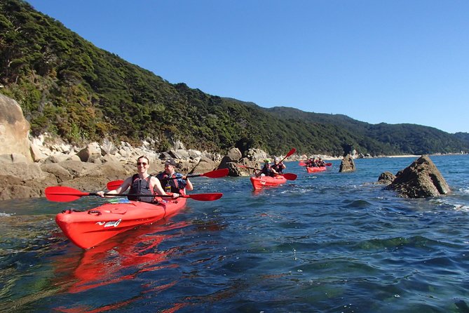 Small-Group Day Tour: Kayak and Hike Abel Tasman National Park  - Marahau - Cancellation Policy