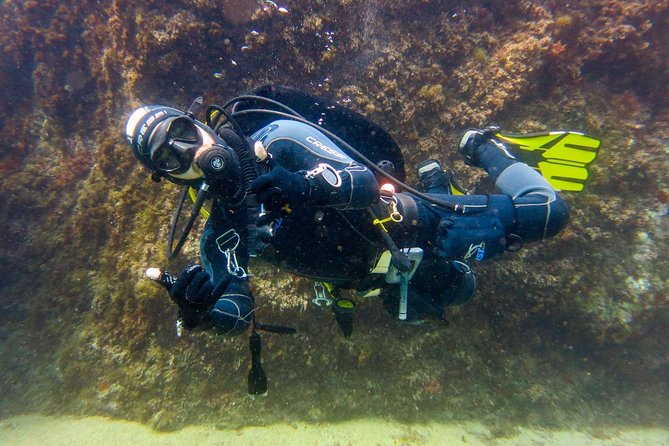 Small Group Diving Baptism in Girona - Traveler Reviews