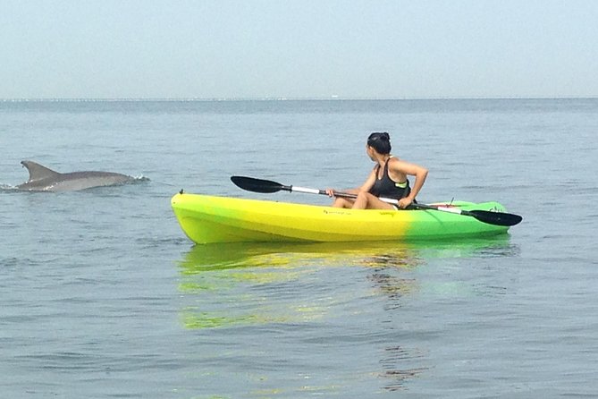 Small Group Dolphin Kayak Eco-Tour - Inclusions and Fees