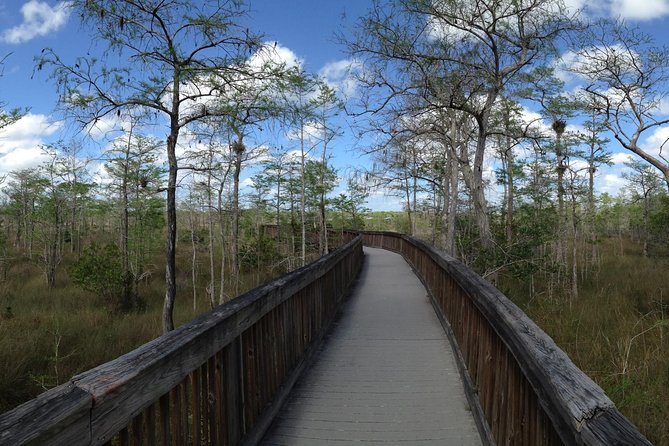 Small-Group Everglades Adventure From Fort Lauderdale (Mar ) - Booking Information