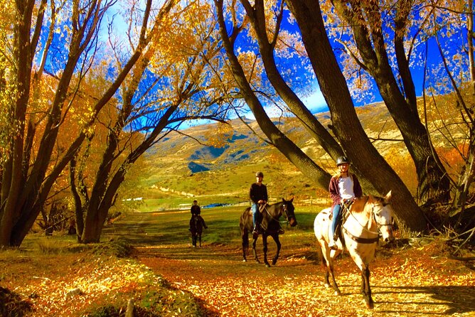 Small-Group Gold Discovery Horse Riding in Cardrona Valley - Cancellation Policy