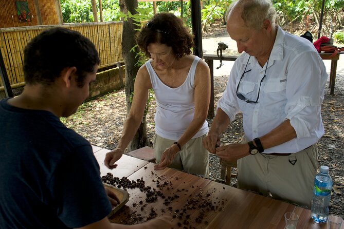Small Group Guayaquil and Cocoa Farm Full-Day Tour - Overall Rating and Last Words