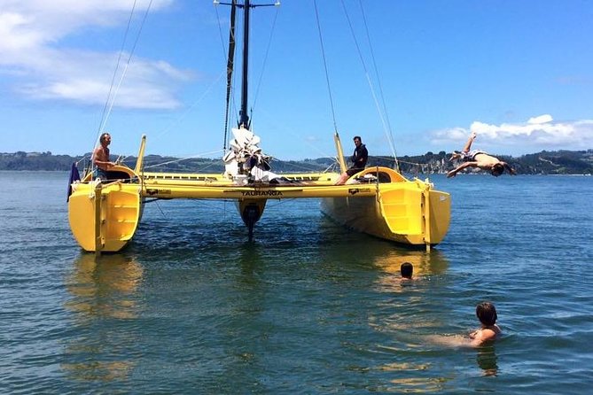 Small-Group Half-Day Sailing Tour With Snorkeling, Cooks Beach  - Whitianga - Inclusions: Alcoholic Beverages and Snorkeling Gear