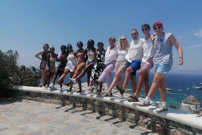 Small-Group Half-Day Tour in Mykonos - Traveler Reviews