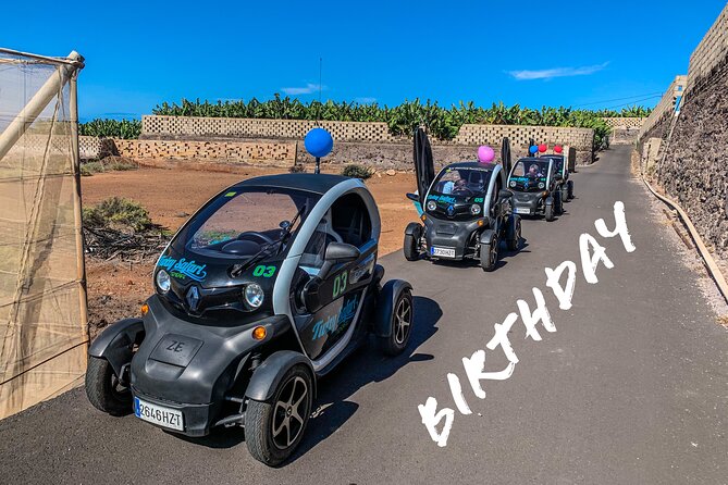 Small-Group Half-Day Twizy Tour in Tenerife (Mar ) - Meeting Details