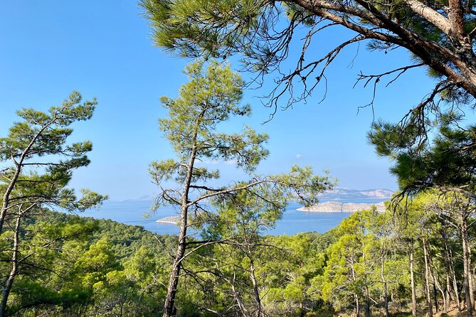 Small Group Hiking Between the Beach and Kritinia Castle - Cancellation Policy and Refunds