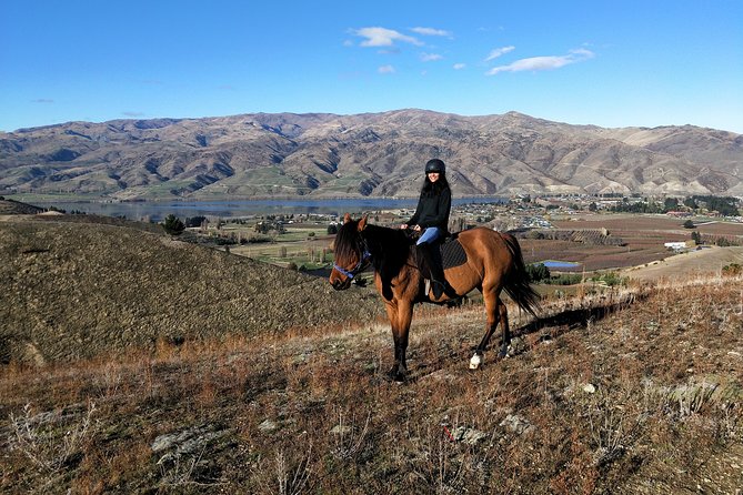 Small-Group Horse Trekking, Central Otago (Mar ) - Experience Expectations