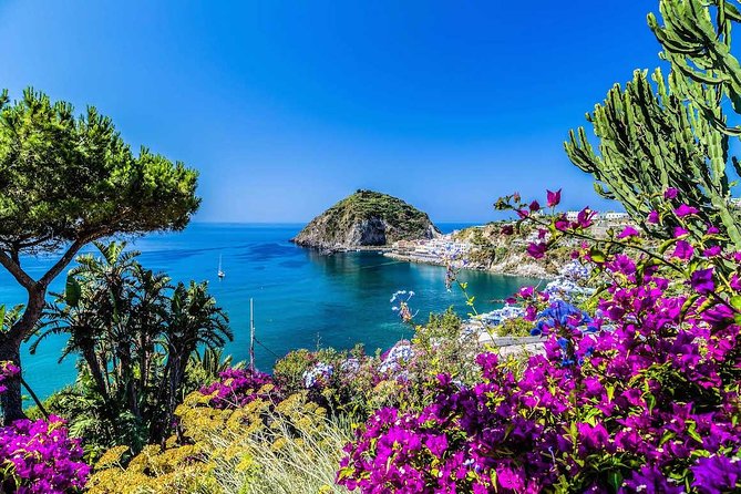 Small Group Ischia and Procida Boat Day Tour From Sorrento - Inclusions and Exclusions