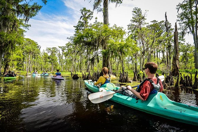 Small-Group Manchac Magic Kayak Swamp Tour With Local Guide - Customer Reviews