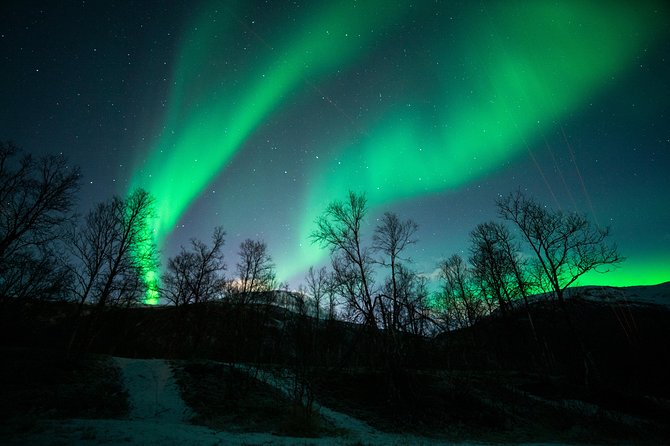 Small Group Northern Lights Chase From Tromso - Positive and Negative Reviews