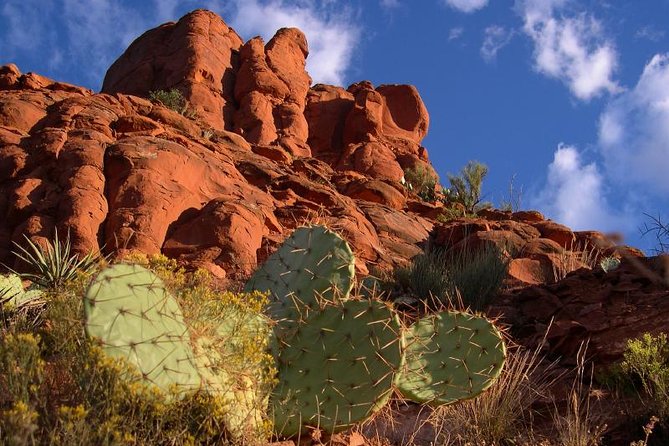 Small Group or Private Sedona and Native American Ruins Day Tour - Customer Reviews and Testimonials