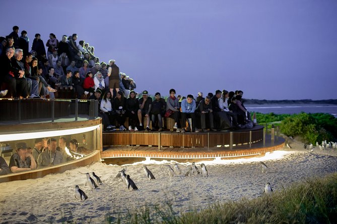 Small-Group Phillip Island Penguin Parade Day Tour From Melbourne - Tour Highlights