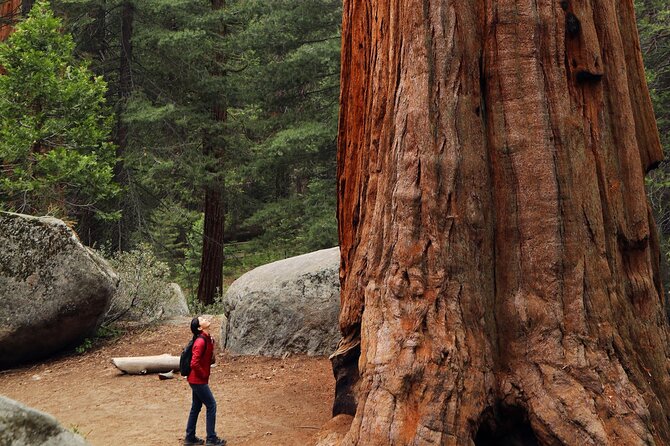 Small Group Redwoods, California Coast & Sausalito Day Trip From San Francisco - Destinations Covered