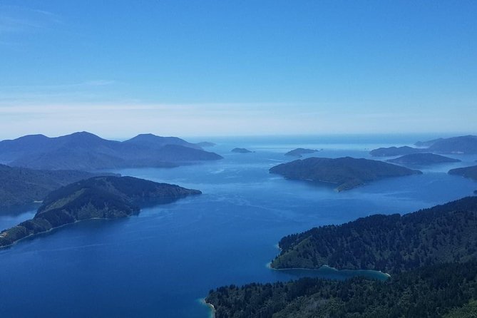 Small-Group Scenic Flight Over Marlborough Sounds From Picton (Mar ) - Reviews Summary