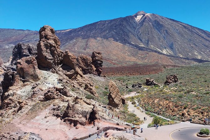 Small Group Teide National Park Volcanic and Forest Wonders - Customer Reviews and Highlights