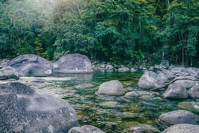 Small-Group Tour of the Daintree With an Aboriginal Guide (Mar ) - Indigenous Guide Insights