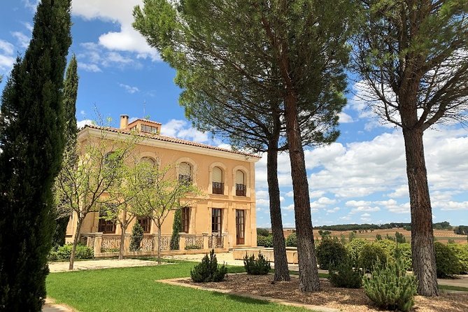 Small Group Tour - Ribera Del Duero Super Taster With Lunch - Review Highlights