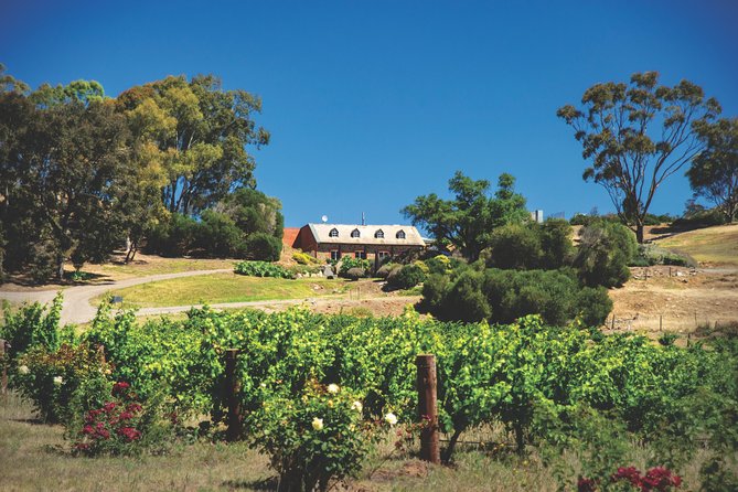 Small Tour Barossa Valley Voyager Tour From Adelaide - Traveler Experience