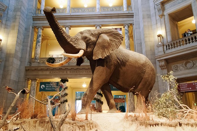Smithsonian Museum of Natural History - Exclusive Guided Tour - Inclusions and Accessibility
