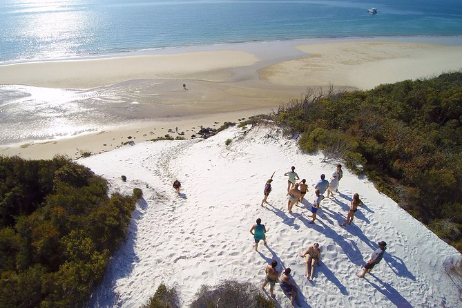 Snorkel, Kayak, and Swim With Whales on Fraser Island - Tour Expectations
