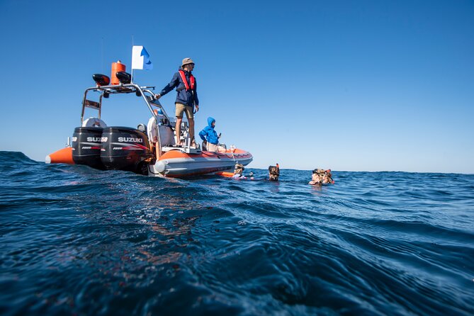 Snorkel With Turtles Gold Coast - Accessibility Information