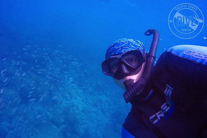 Snorkeling at Catalina Islands & North Island - CR - Crystal Clear Waters