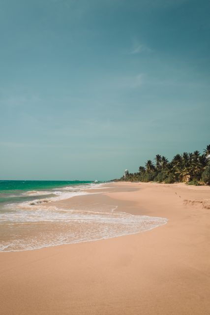 Snorkeling in Unawatuna - Experience Highlights