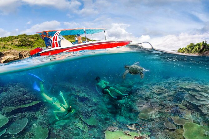 Snorkeling Manta Ray Safari in Nusa Penida - Expectations and Restrictions