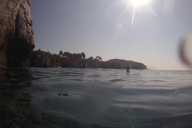 Snorkeling Trip - Marine Life Encounter