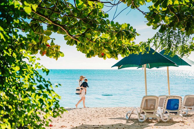 Snorkelling and Glass Bottom Boat at Green Island From Cairns - Tour Inclusions and Exclusions