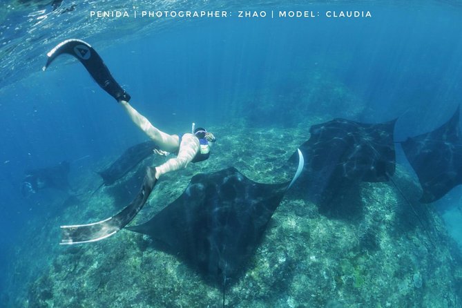 Snorkelling in Nusa Penida - Manta Point - Last Words