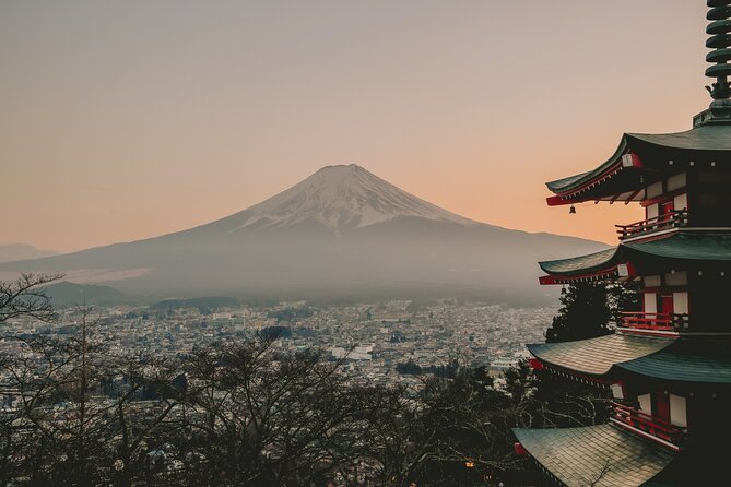 Snow Monkeys From Tokyo: Full-Day Private Trip With Local Guide - Transportation Logistics