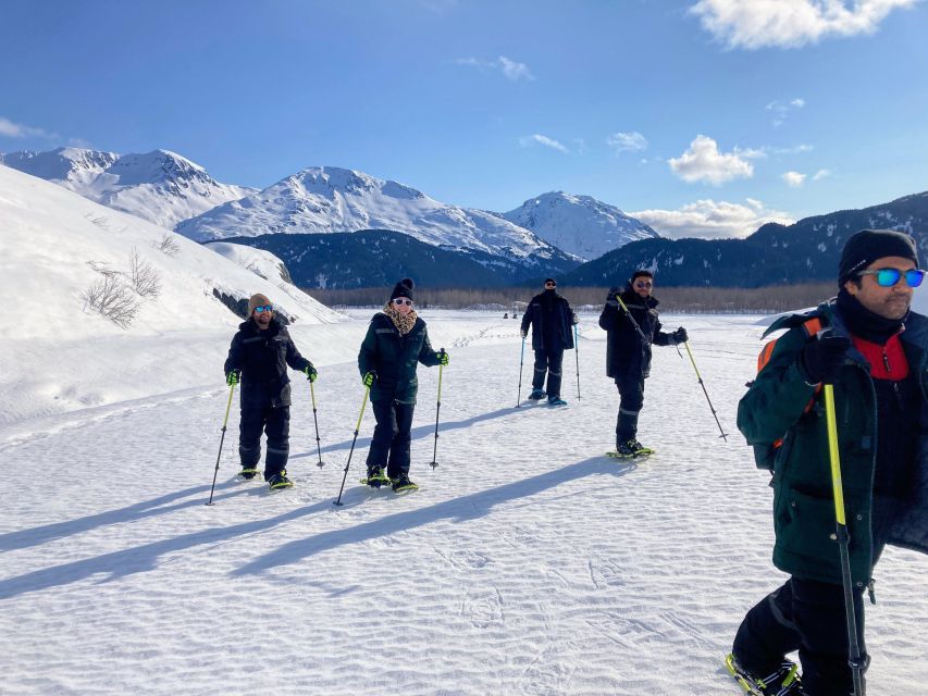 Snowmobile and Snowshoe Dual Adventure From Seward, AK - Tour Features