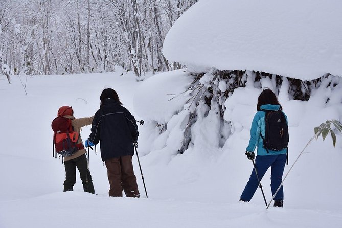 Snowshoe Hike Tour From Sapporo - Unique Tour Offerings