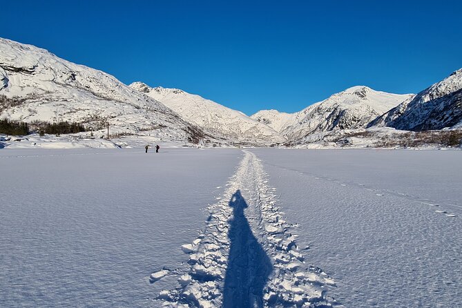 Snowshoes Hike in Lofoten - Authentic Reviews and Ratings