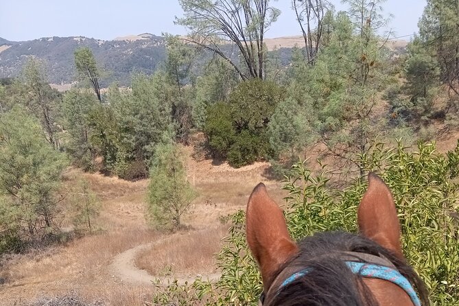Sonoma Horseback-Riding Tour - Additional Information