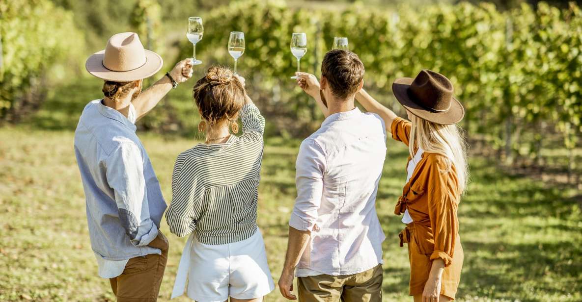 Sonoma Valley: Guided Winery Tour With Picnic Lunch - Booking Information