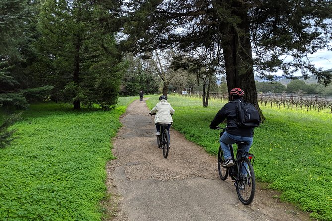 Sonoma Valley Pedal Assist or Standard Bike Tour With Lunch - Lunch Experience