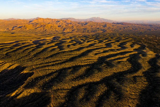 Sonoran Desert Jeep Tour - Traveler Experience
