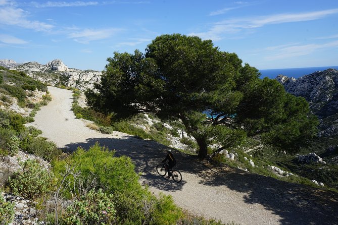 Sormiou Calanques National Park Electric Bike Tour From Marseille - Reviews & Tips