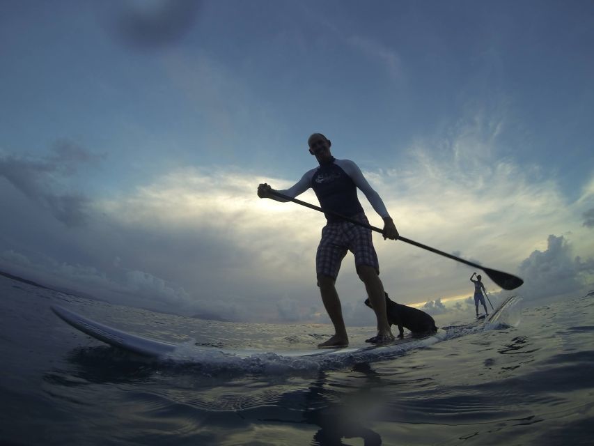 Sosua 2-Hour Stand Up Paddle Boarding - Experience Highlights