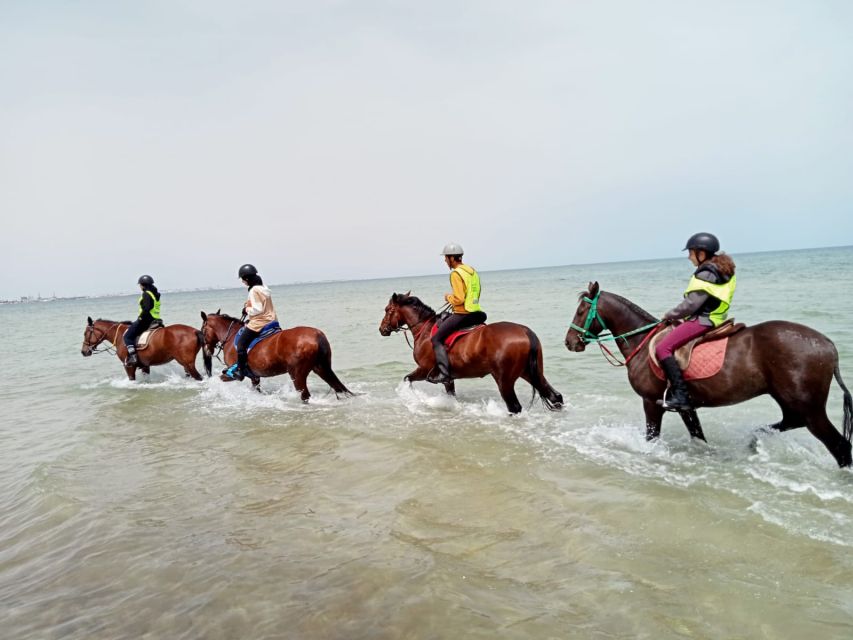 Sousse/Monastir: Private Horseback Riding Trip With Transfer - Customer Reviews