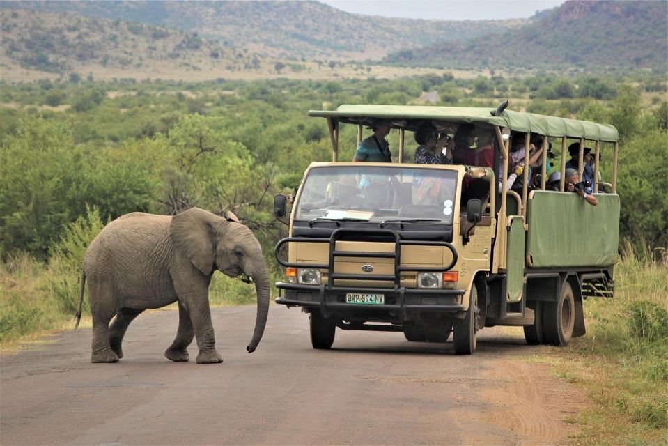 South Africa From Joburg: Elephant Sanctuary Half Day Tour - Duration and Pickup Information