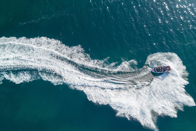 Speed Boat Tour to Cathedral Cove  - Whitianga - Meeting Point Details