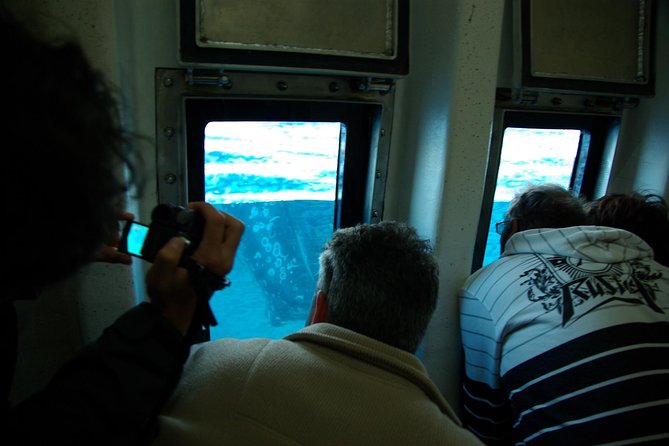 Spirit of Hervey Bay Whale Watching Cruise - Cancellation Policy and Additional Info