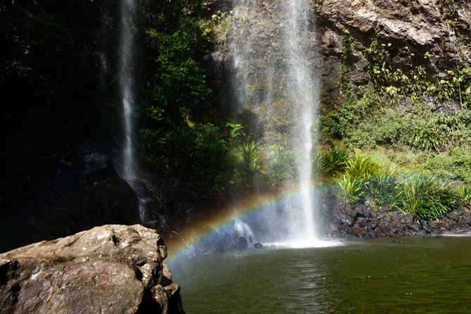 Springbrook National Park Shared Waterfalls Tour  - Surfers Paradise - Pickup Process